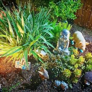 Meet your Posher, Lee